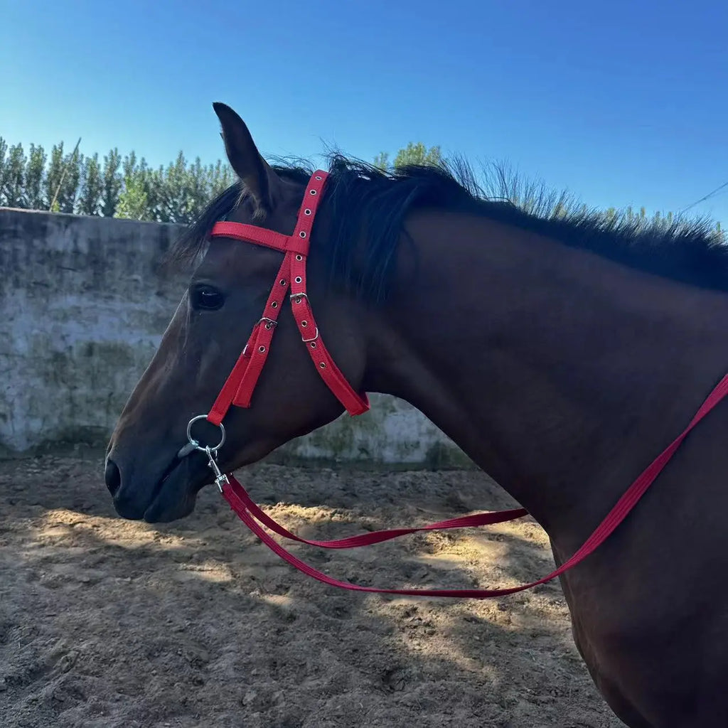 licol pour licorne KageShop