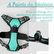 Harnais anti-traction réglable