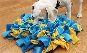 Tapis de fouille / d’enrichissement