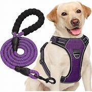 Harnais anti-traction réglable