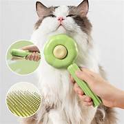 Brosse de toilettage auto-nettoyante