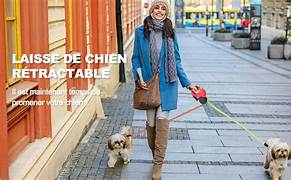 Laisse rétractable 3-en-1 LED