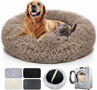 Lit orthopédique apaisant