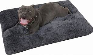 Lit orthopédique apaisant