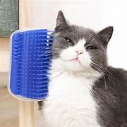 Brosse de coin murale pour chat
